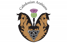 Caledonian_soong logo web sig_0.png