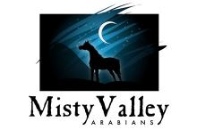 misty_valley_arabians_nweb_0.jpg